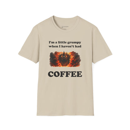 I'm a Little Grumpy When I Haven't Had Coffee T-Shirt